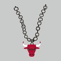 Chicago Bulls Necklace logo decal sticker