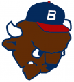 Buffalo Bisons 1985-1987 Alternate Logo Sticker Heat Transfer