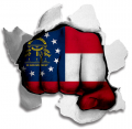 Fist Georgia State Flag Logo Sticker Heat Transfer