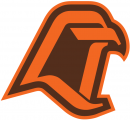 Bowling Green Falcons 1980-2005 Alternate Logo 02 decal sticker