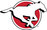 Calgary Stampeders 2016-2018 Primary Logo decal sticker