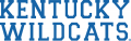 Kentucky Wildcats 2005-2015 Wordmark Logo 02 Sticker Heat Transfer