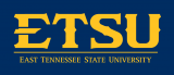 ETSU Buccaneers 2014-Pres Wordmark Logo 11 decal sticker