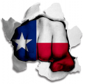Fist Texas State Flag Logo Sticker Heat Transfer