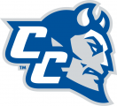 Central Connecticut Blue Devils 2011-Pres Secondary Logo decal sticker
