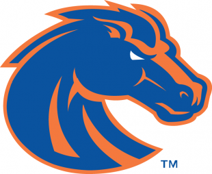 Boise State Broncos 2013-Pres Primary Logo Sticker Heat Transfer