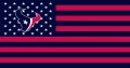 Houston Texans Flag001 logo Sticker Heat Transfer