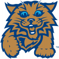 Villanova Wildcats 2004-Pres Misc Logo Sticker Heat Transfer