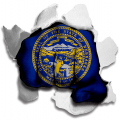 Fist Nebraska State Flag Logo decal sticker