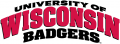 Wisconsin Badgers 2002-Pres Wordmark Logo decal sticker