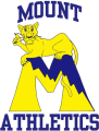 Mount St. Marys Mountaineers 1995-2003 Primary Logo Sticker Heat Transfer