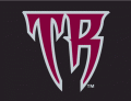 Wisconsin Timber Rattlers 2011-Pres Cap Logo 2 decal sticker