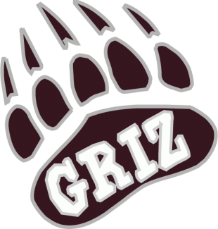 Montana Grizzlies 1996-Pres Alternate Logo 01 Sticker Heat Transfer