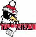 Youngstown State Penguins 1993-2005 Primary Logo decal sticker