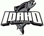 Idaho Steelheads 2008 09-Pres Alternate Logo decal sticker