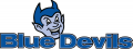 Central Connecticut Blue Devils 1994-2010 Alternate Logo decal sticker
