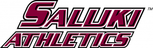 Southern Illinois Salukis 2001-2018 Wordmark Logo 03 decal sticker