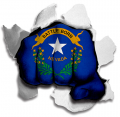 Fist Nevada State Flag Logo Sticker Heat Transfer