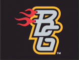 Bowling Green Hot Rods 2009-2015 Cap Logo Sticker Heat Transfer