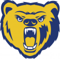 Northern Colorado Bears 2004-2009 Secondary Logo 02 decal sticker
