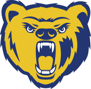 Northern Colorado Bears 2004-2009 Secondary Logo 02 Sticker Heat Transfer