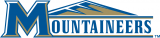 Mount St. Marys Mountaineers 2004-Pres Alternate Logo 02 decal sticker
