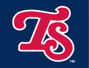 Tennessee Smokies 2007-2014 Cap Logo decal sticker