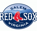Salem Red Sox 2009-Pres Primary Logo decal sticker