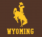 Wyoming Cowboys 2013-Pres Alternate Logo 01 decal sticker