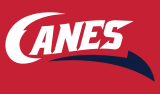 Lethbridge Hurricanes 2013 14-Pres Secondary Logo 2 decal sticker