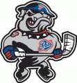 Regina Pats 2002 03-Pres Alternate Logo Sticker Heat Transfer