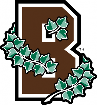 Brown Bears 2003-Pres Alternate Logo decal sticker