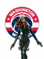 Washington Wizards Black Widow Logo Sticker Heat Transfer
