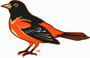 Baltimore Orioles 1999-2008 Alternate Logo decal sticker