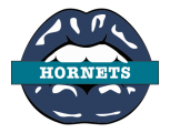 Charlotte Hornets Lips Logo decal sticker