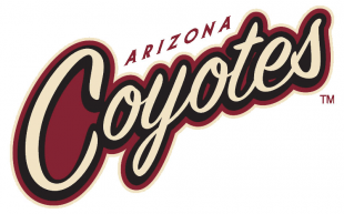 Arizona Coyotes 2014 15 Wordmark Logo decal sticker