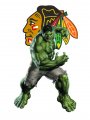 Chicago Blackhawks Hulk Logo decal sticker