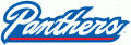 Georgia State Panthers 2009-2013 Wordmark Logo decal sticker