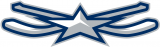 NHL All-Star Game 2014-2015 Alternate 02 Logo decal sticker
