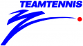 World TeamTennis 1991 Primary Logo decal sticker
