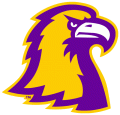 Tennessee Tech Golden Eagles 2006-Pres Alternate Logo 07 decal sticker