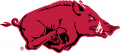 Arkansas Razorbacks 1967-2000 Primary Logo Sticker Heat Transfer