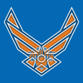 Airforce New York Knicks Logo decal sticker