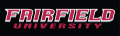 Fairfield Stags 2002-Pres Wordmark Logo 11 Sticker Heat Transfer