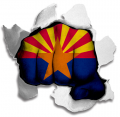 Fist Arizona State Flag Logo decal sticker