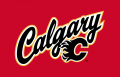 Calgary Flames 2013 14-2015 16 Jersey Logo Sticker Heat Transfer
