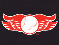 Rochester Red Wings 2008-2013 Cap Logo Sticker Heat Transfer