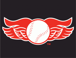 Rochester Red Wings 2008-2013 Cap Logo Sticker Heat Transfer