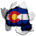 Fist Colorado State Flag Logo decal sticker