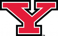 Youngstown State Penguins 2006-Pres Primary Logo decal sticker